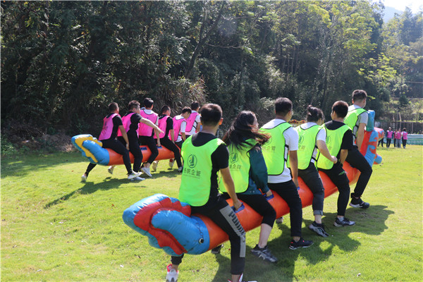 开元官方内贸部参与“毛毛虫”游戏